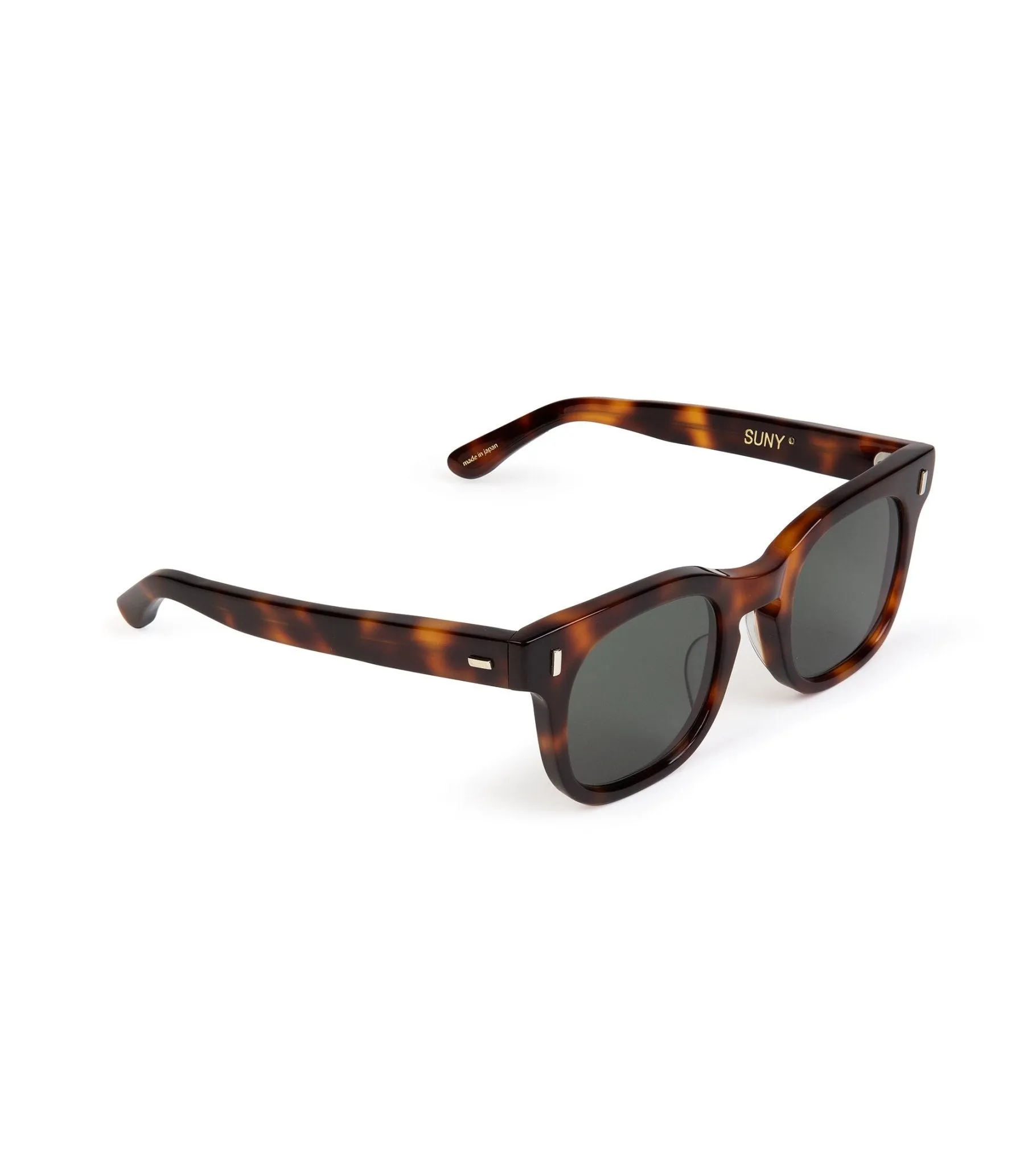 Buddy Optical Suny Sunglasses: Brown Tortoise