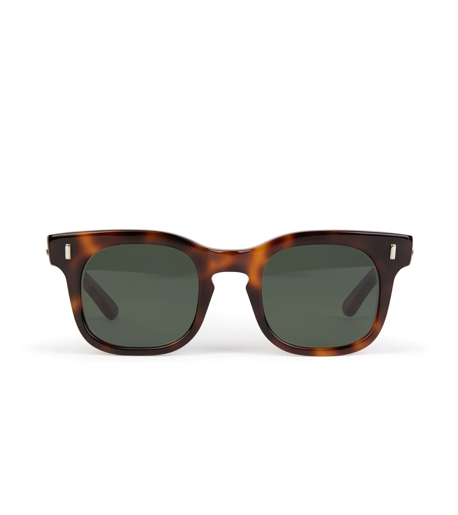 Buddy Optical Suny Sunglasses: Brown Tortoise