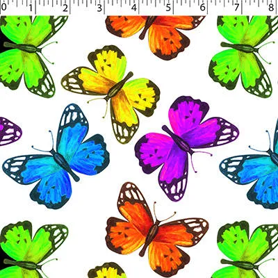 RAINBOW CREATIVE PRINTS II -MONARCH